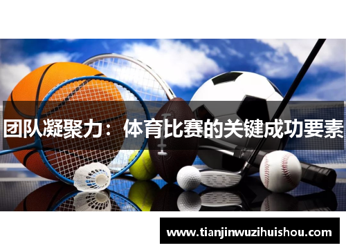 团队凝聚力：体育比赛的关键成功要素